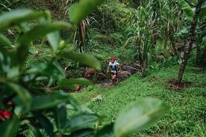 BIB: 
                            <button type="button" onclick="openModal(26200157)" class="btn btn-primary btn-sm float-right btn-popup" data-toggle="modal" data-target=".modal-high-quality">
                        <i class="fas fa-shopping-cart"></i> Add to Cart
                    </button>
                                            <button type="button" onclick="isThisMe(26200157, true)" class="btn btn-success btn-sm float-right btn-popup btn-isme hidden" data-toggle="tooltip" data-placement="bottom" title="นี่คือรูปของคุณใช่ไหม คลิกที่นี่เพื่อเอาเข้าอัลบั้ม">
                        <i class="fas fa-plus"></i> Add to album
                    </button>
                    <button type="button" onclick="isThisMe(26200157, false)" class="btn btn-warning btn-sm float-right btn-popup btn-isnotme hidden">
                        <i class="fas fa-ban"></i> Remove from album
                    </button>